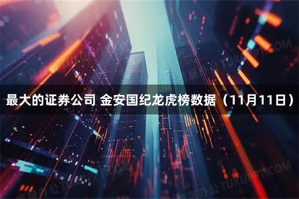 最大的证券公司 金安国纪龙虎榜数据（11月11日）